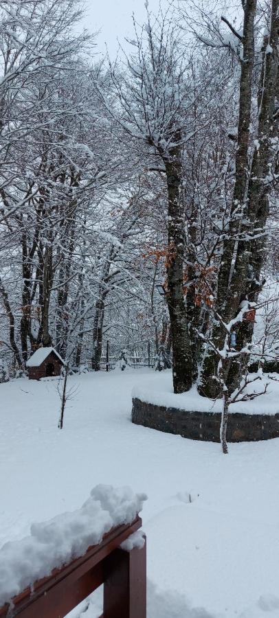 Vikendica Crkvina Kolašin Exterior foto