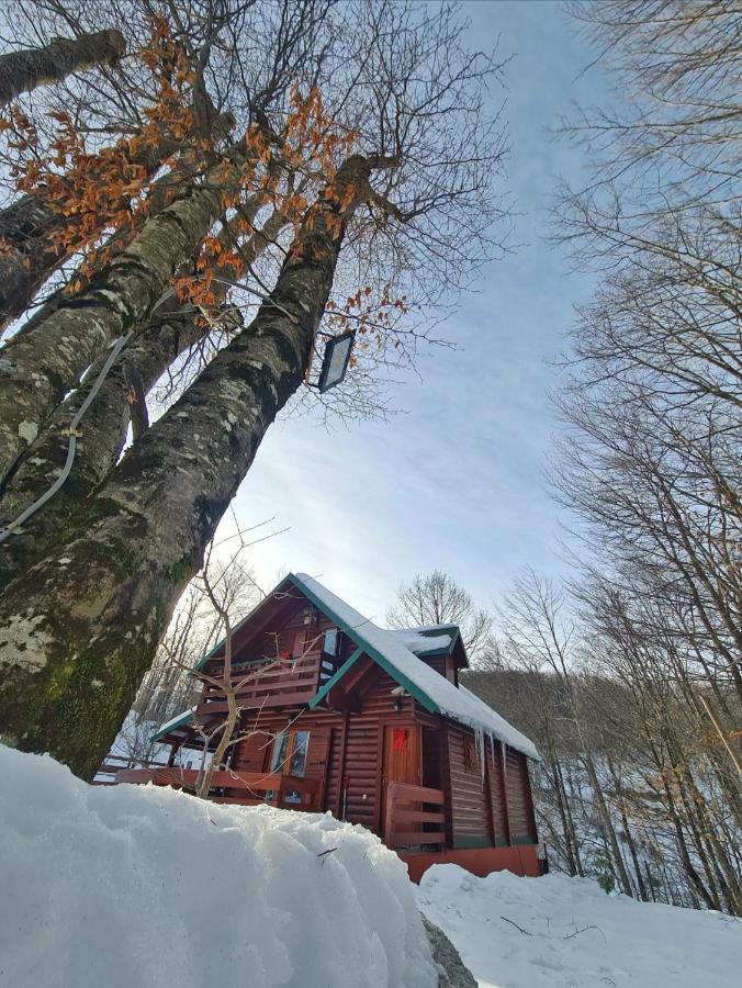 Vikendica Crkvina Kolašin Exterior foto